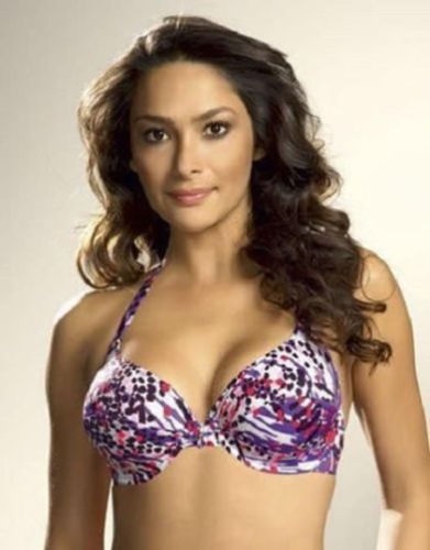 Fantasie Atlanta Halterneck Bikini Bra Top Amethyst